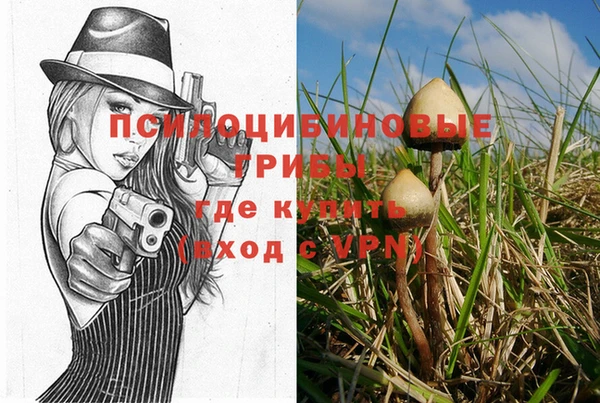 ALPHA-PVP Абинск