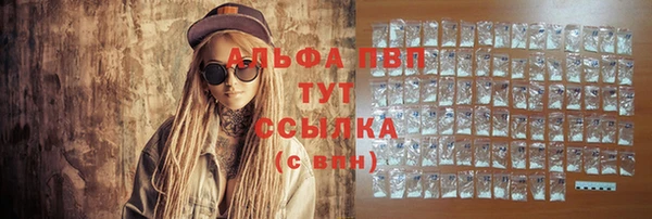 стаф Абаза