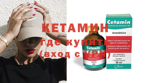 стаф Абаза