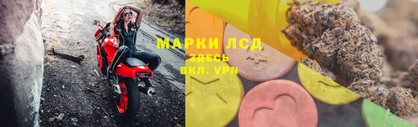 spice Алзамай