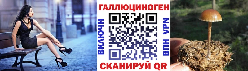 ОМГ ОМГ вход  Томилино  Галлюциногенные грибы GOLDEN TEACHER 