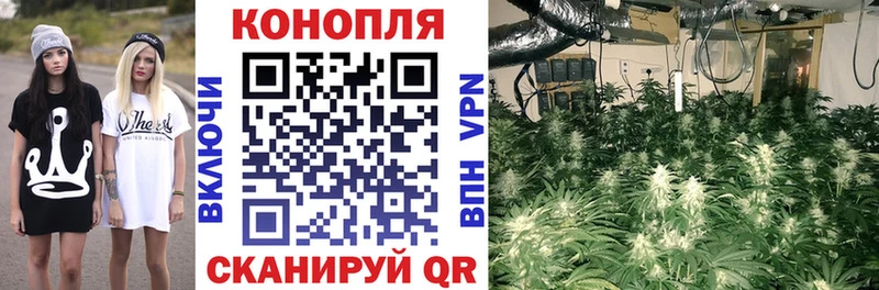 наркотики Томилино Бошки Шишки сатива